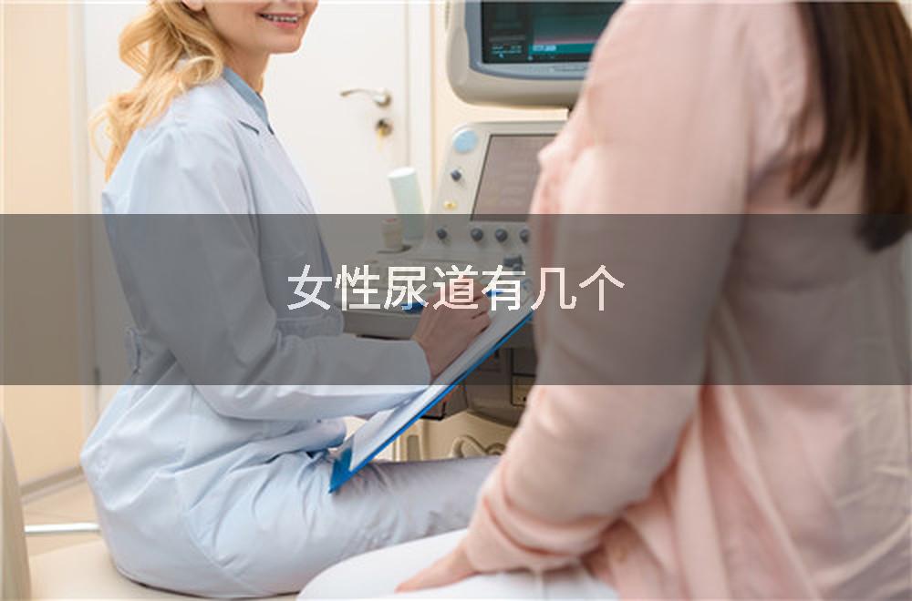 女性尿道有几个