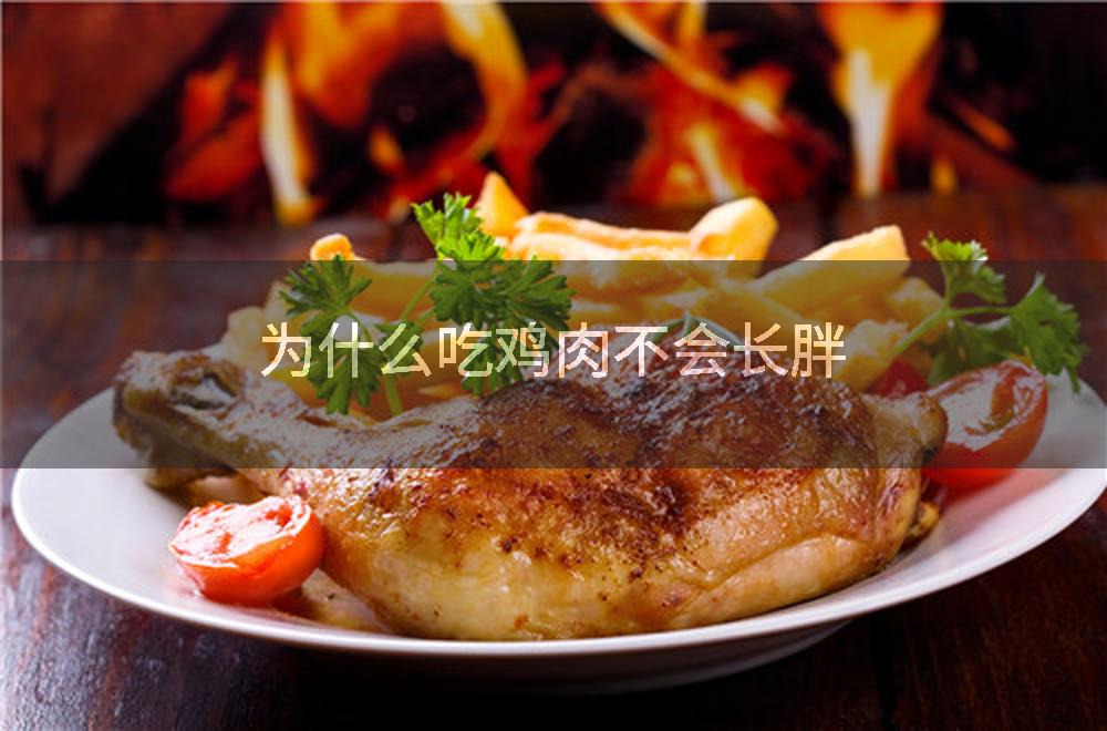 为什么吃鸡肉不会长胖