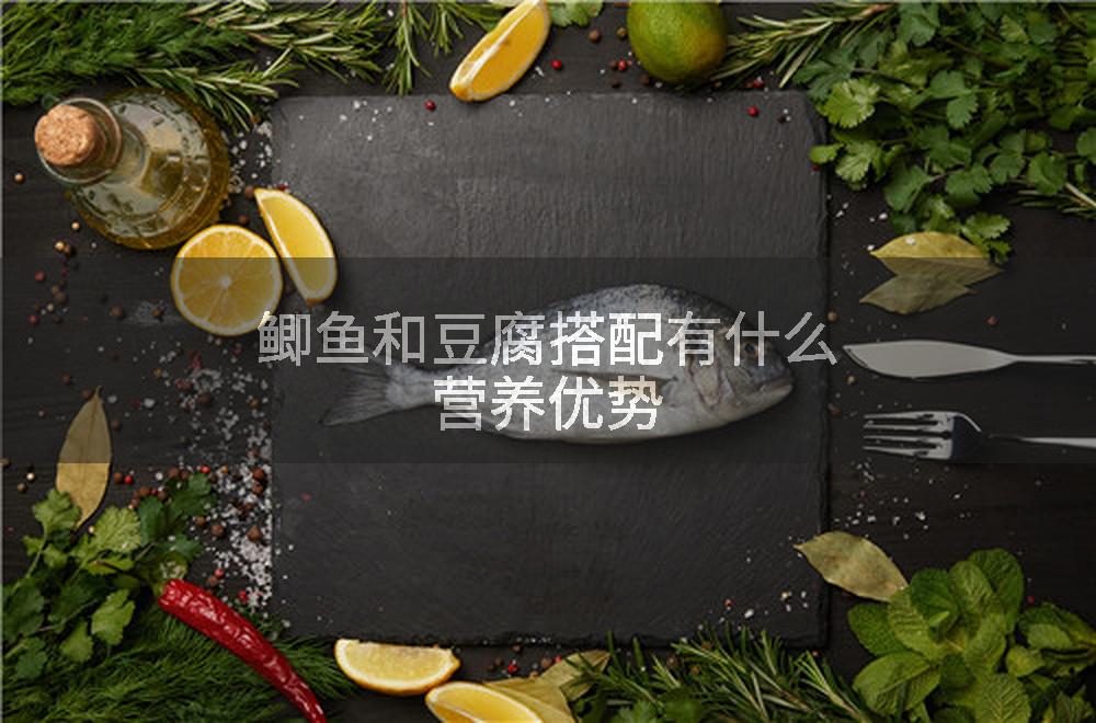鲫鱼和豆腐搭配有什么营养优势