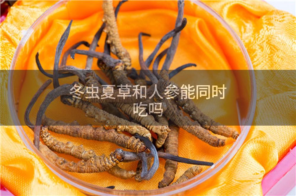 冬虫夏草和人参能同时吃吗