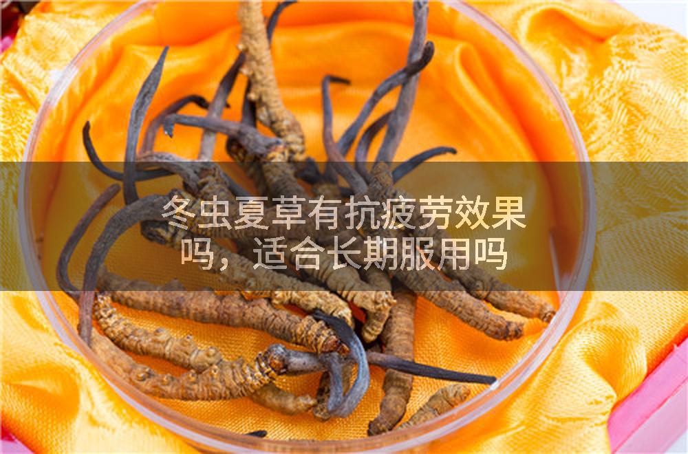 冬虫夏草有抗疲劳效果吗，适合长期服用吗