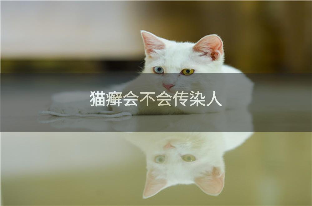 猫癣会不会传染人
