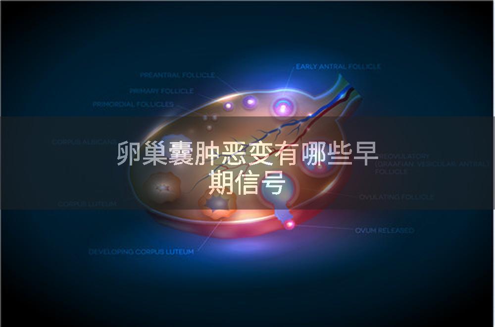 卵巢囊肿恶变有哪些早期信号