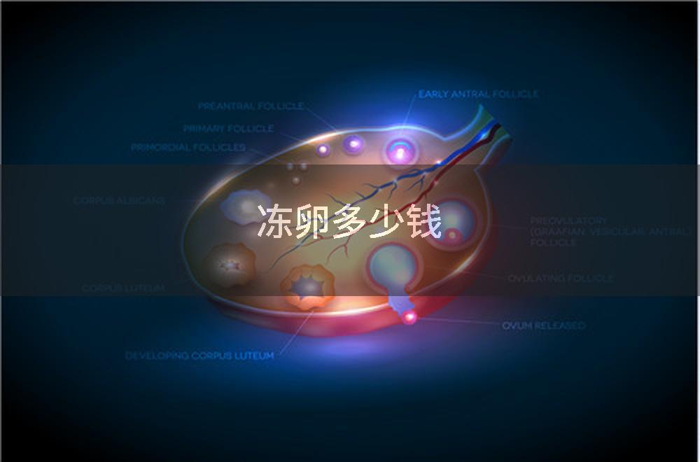 冻卵多少钱