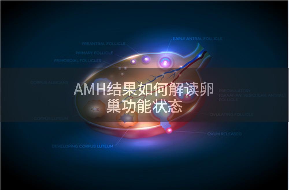 AMH结果如何解读卵巢功能状态