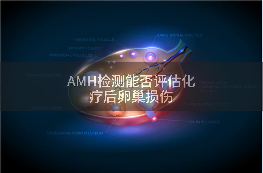 AMH检测能否评估化疗后卵巢损伤