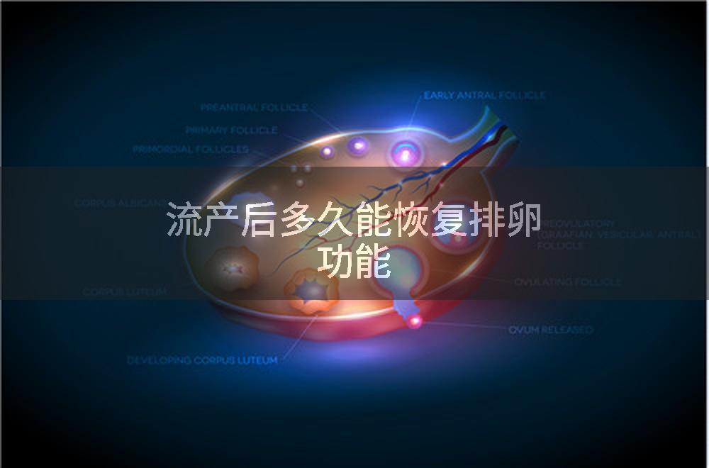 流产后多久能恢复排卵功能