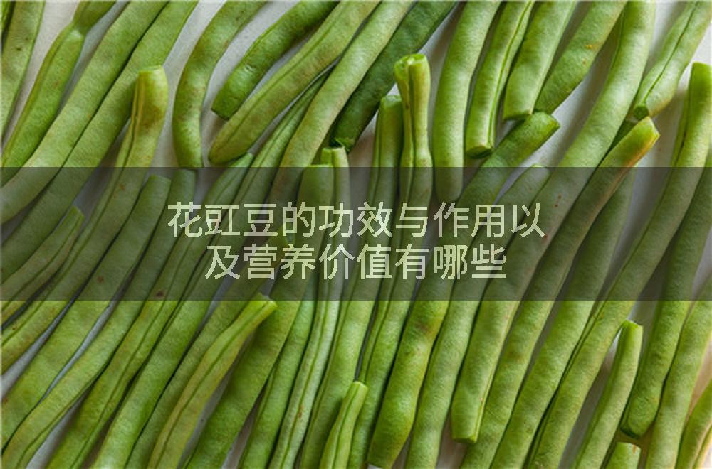 花豇豆的功效与作用以及营养价值有哪些