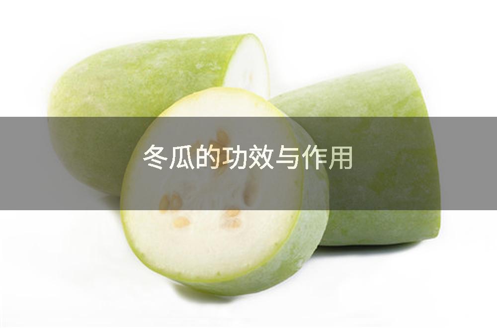 冬瓜的功效与作用