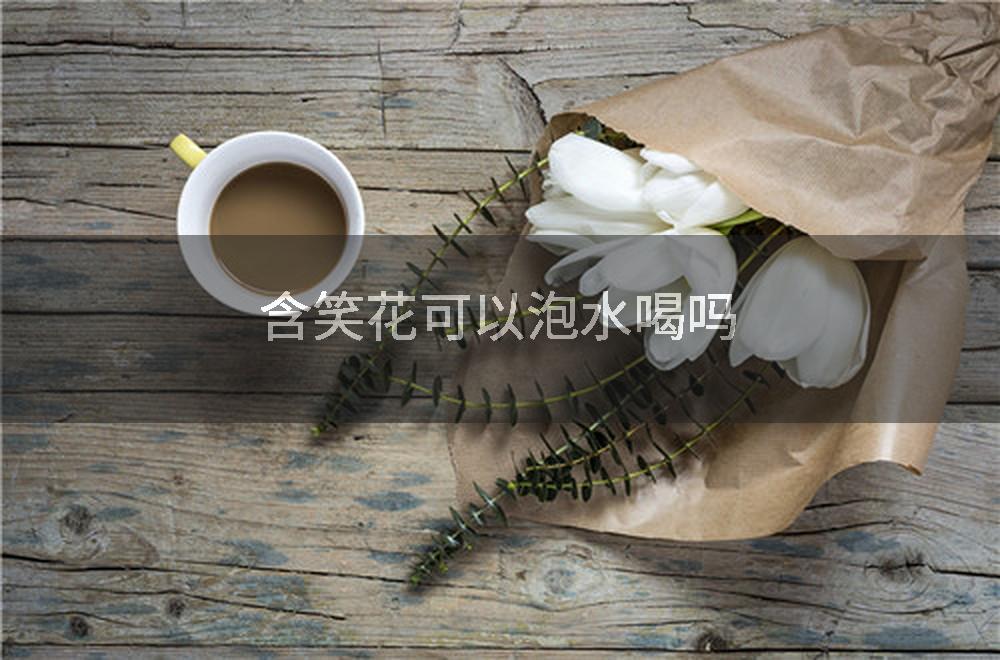 含笑花可以泡水喝吗