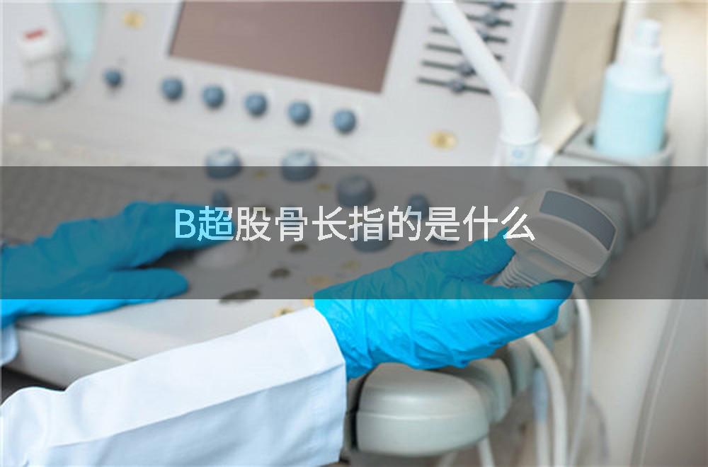 B超股骨长指的是什么