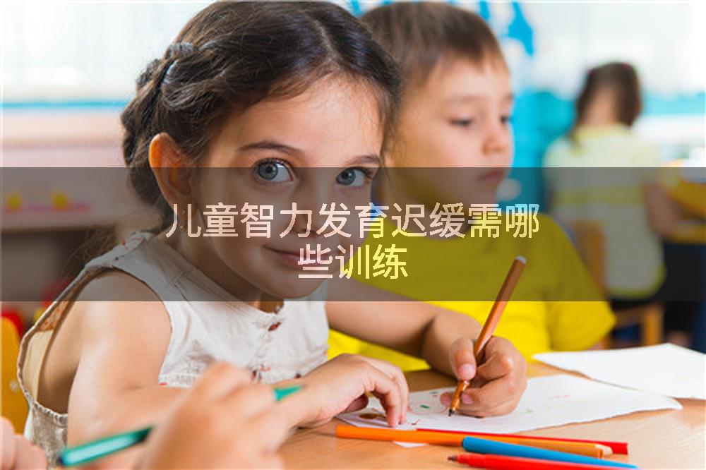 儿童智力发育迟缓需哪些训练