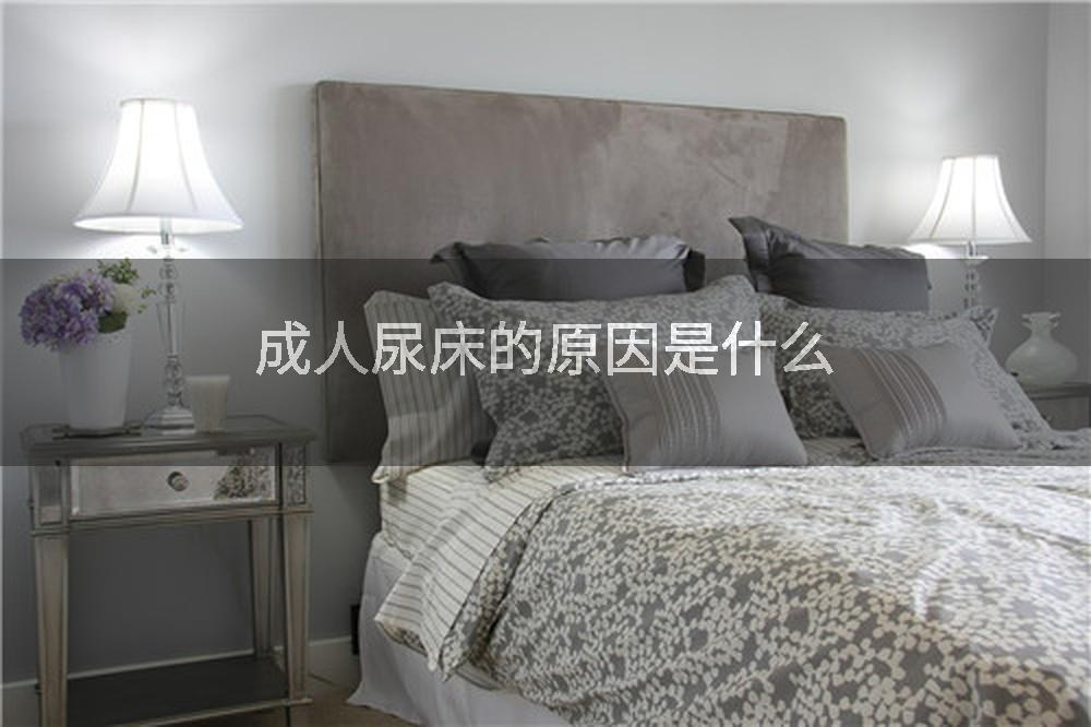 成人尿床的原因是什么