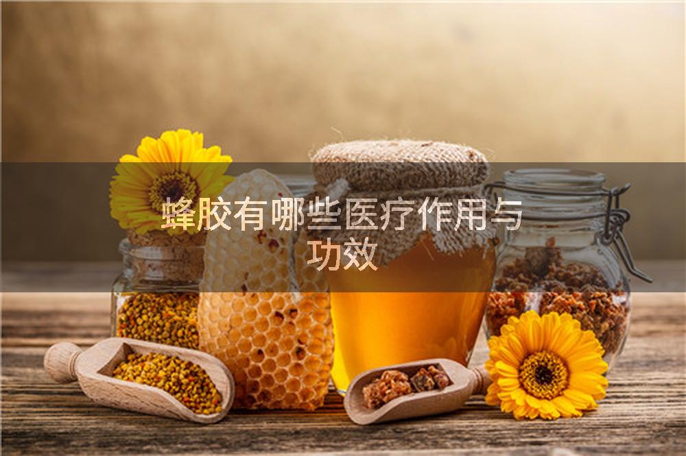 蜂胶有哪些医疗作用与功效