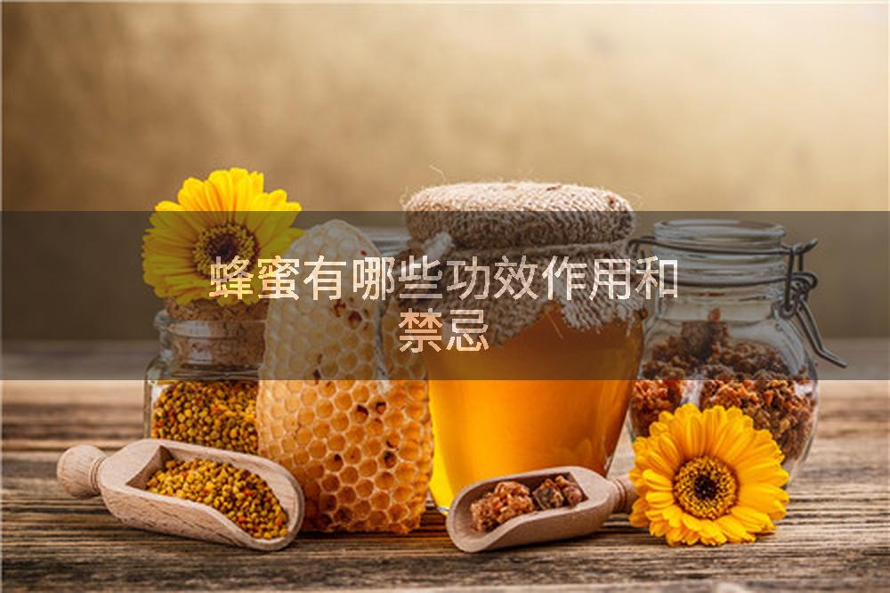 蜂蜜有哪些功效作用和禁忌