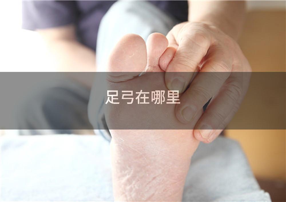 足弓在哪里