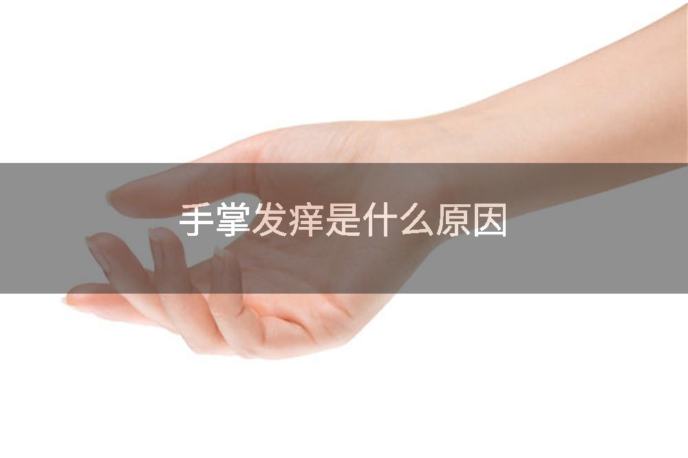 手掌发痒是什么原因