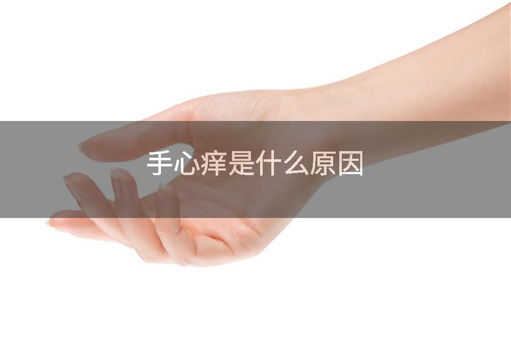 手心痒是什么原因