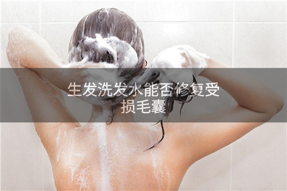 生发洗发水能否修复受损毛囊