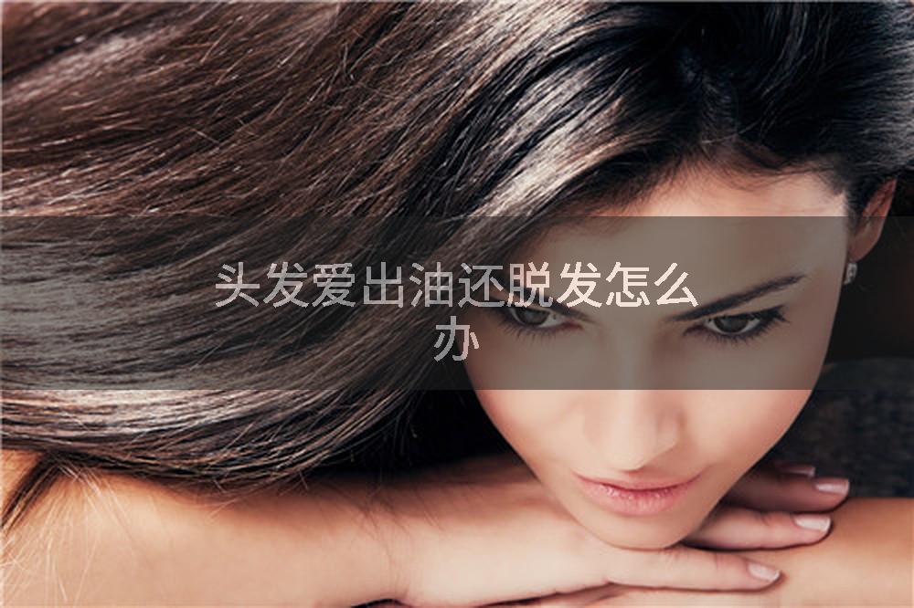 头发爱出油还脱发怎么办