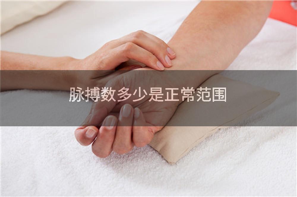 脉搏数多少是正常范围