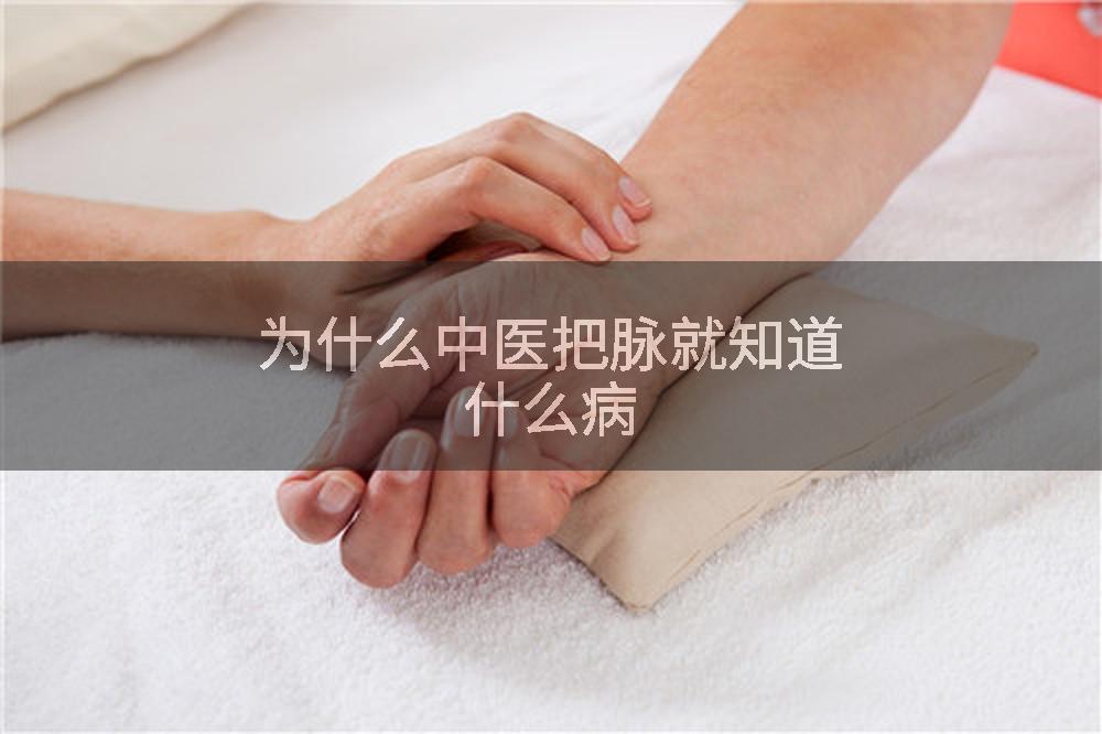 为什么中医把脉就知道什么病