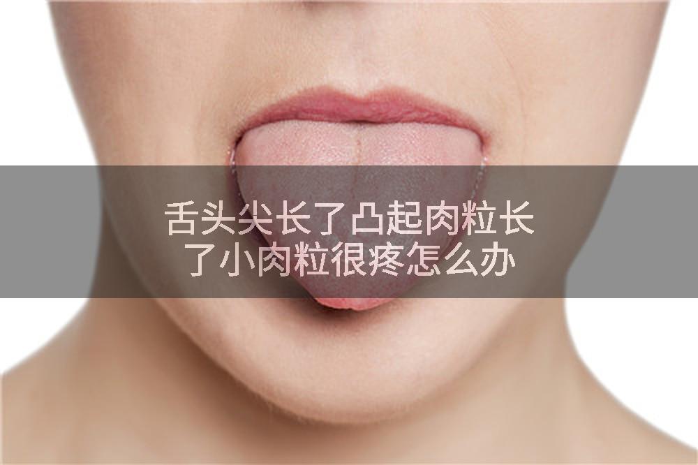 舌头尖长了凸起肉粒长了小肉粒很疼怎么办