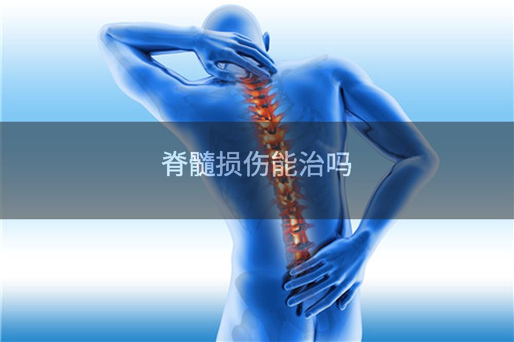脊髓损伤能治吗