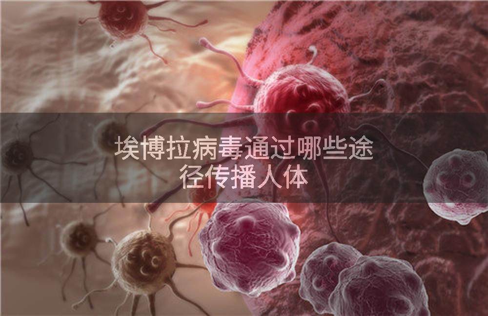 埃博拉病毒通过哪些途径传播人体
