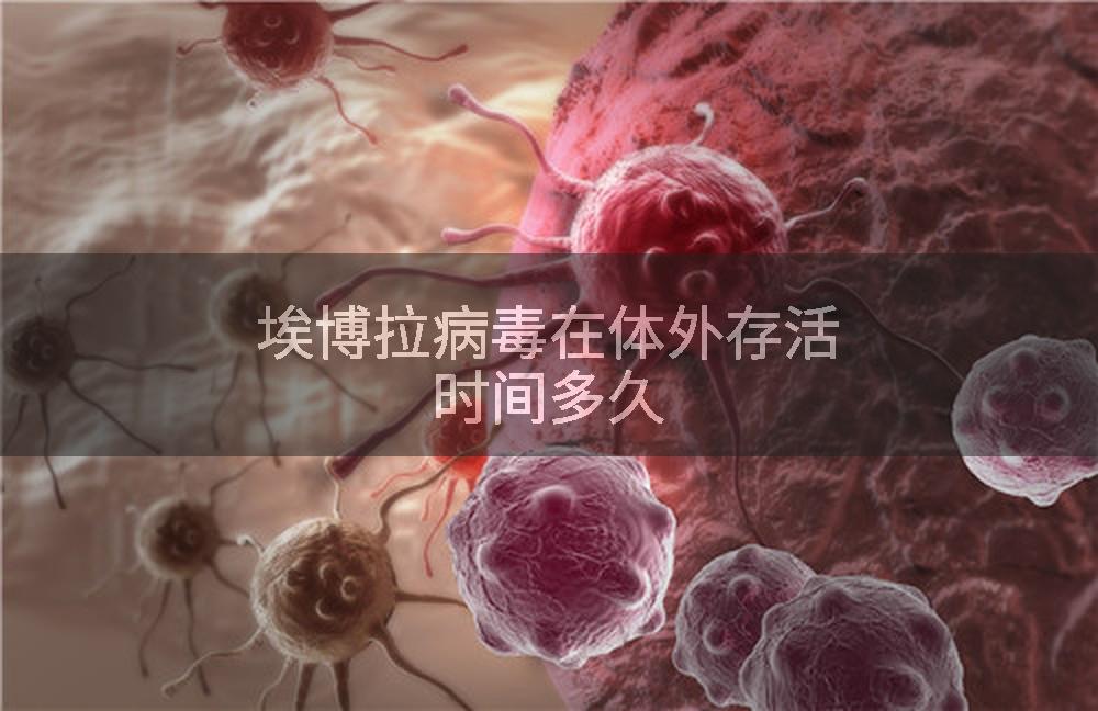 埃博拉病毒在体外存活时间多久