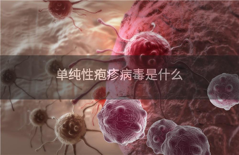单纯性疱疹病毒是什么