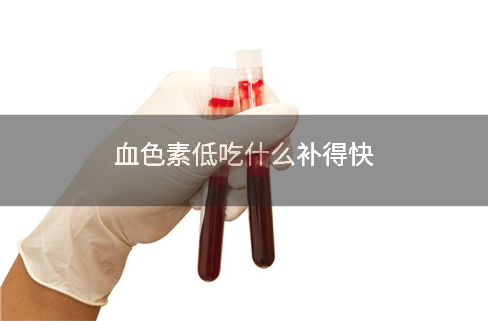 血色素低吃什么补得快