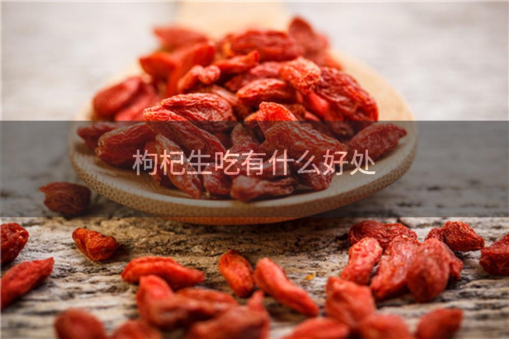 枸杞生吃有什么好处