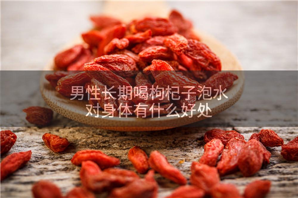 男性长期喝枸杞子泡水对身体有什么好处