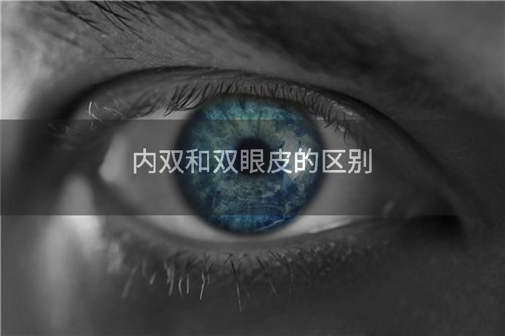 内双和双眼皮的区别
