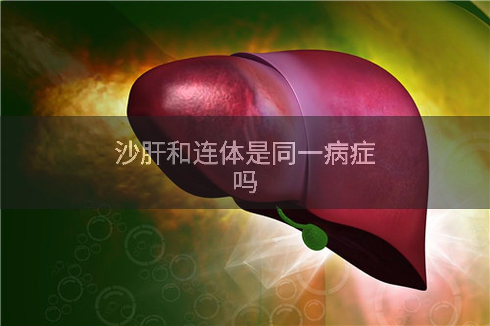沙肝和连体是同一病症吗
