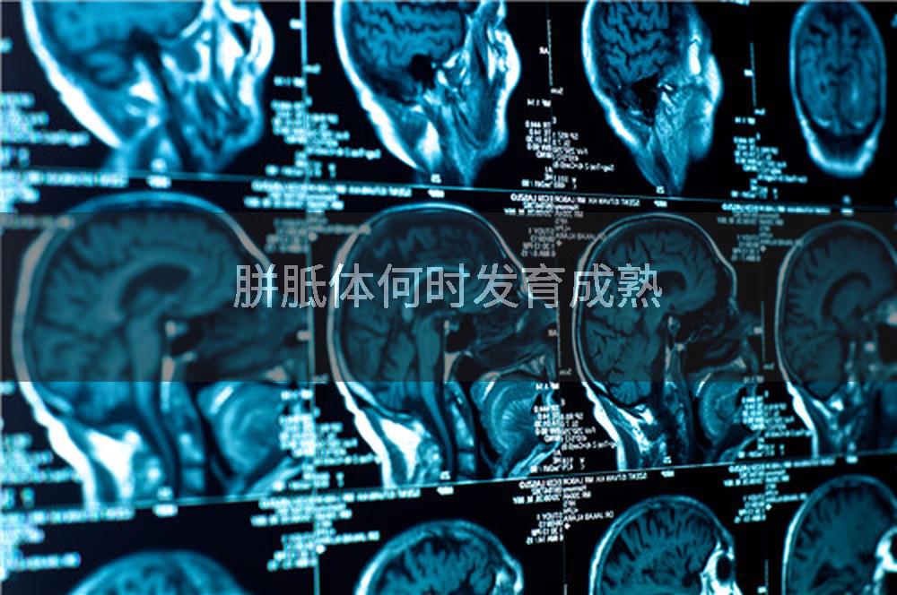胼胝体何时发育成熟
