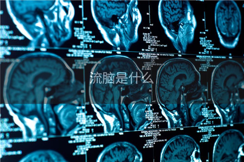 流脑是什么