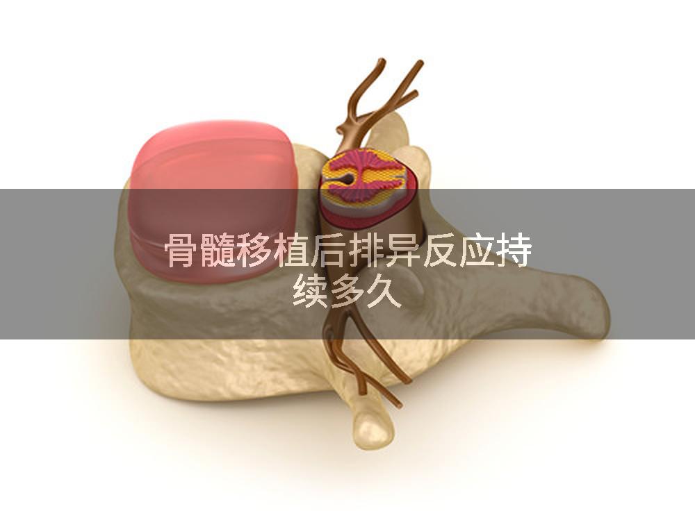 骨髓移植后排异反应持续多久