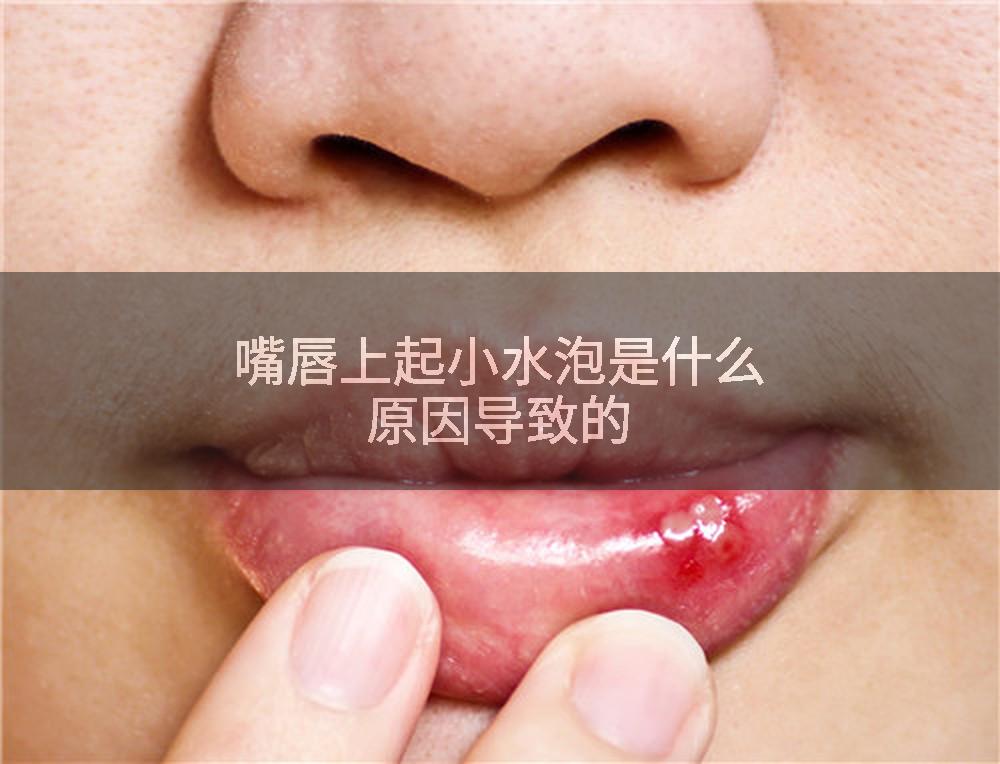 嘴唇上起小水泡是什么原因导致的