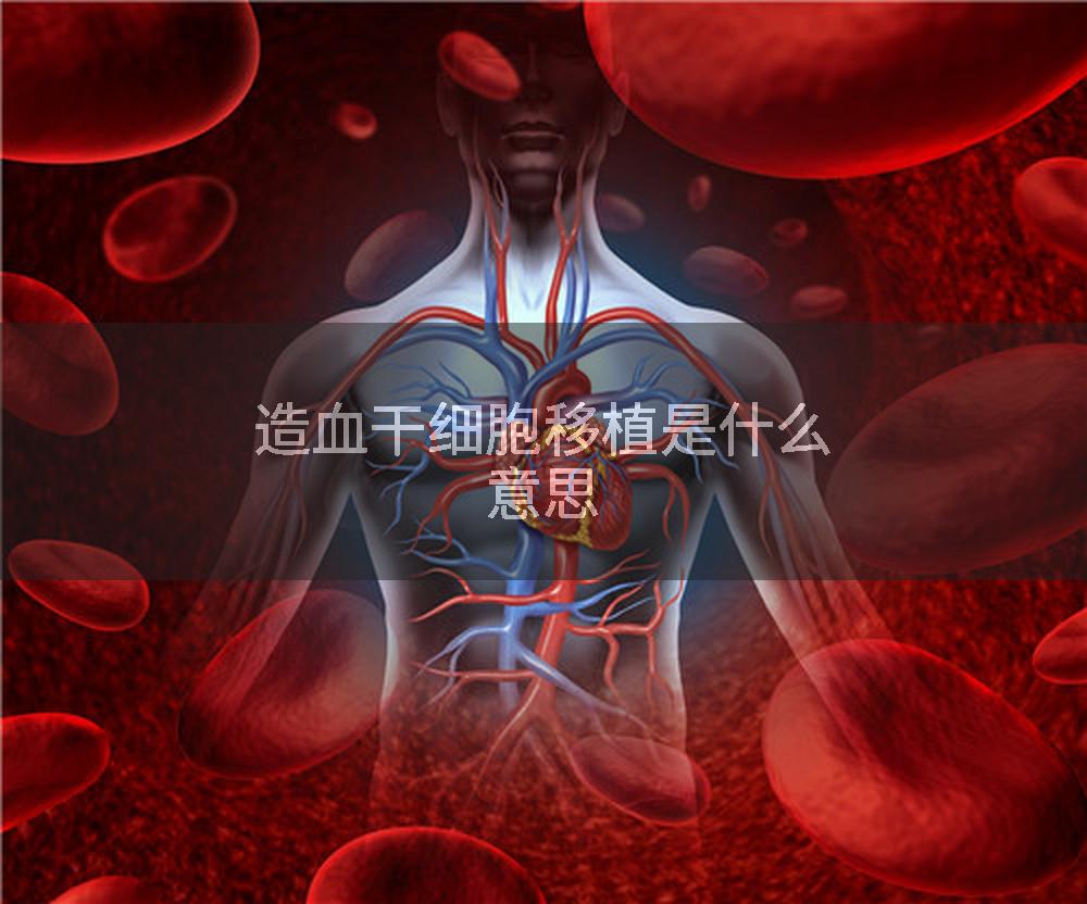 造血干细胞移植是什么意思