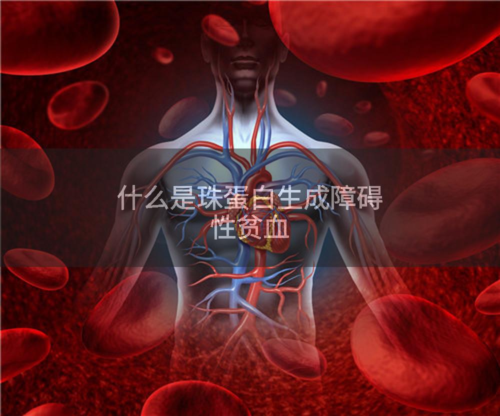 什么是珠蛋白生成障碍性贫血