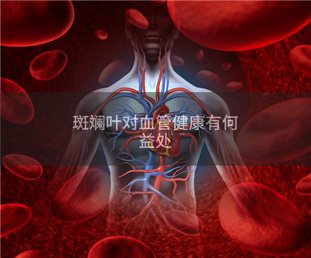 斑斓叶对血管健康有何益处