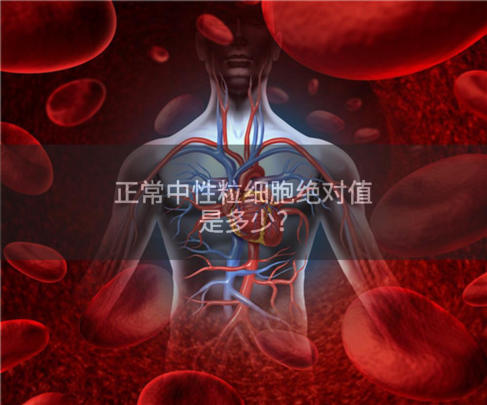 正常中性粒细胞绝对值是多少?