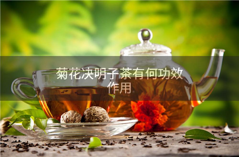 菊花决明子茶有何功效作用