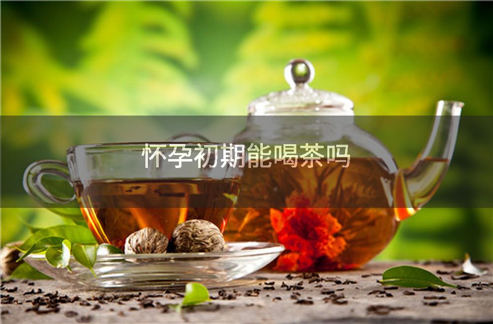 怀孕初期能喝茶吗