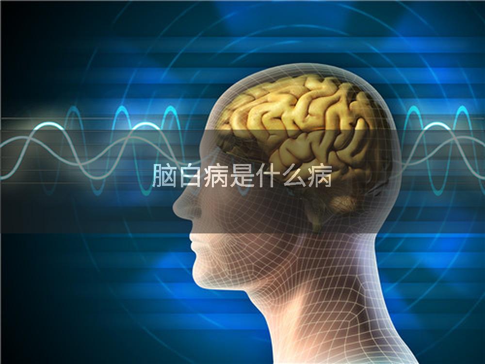 脑白病是什么病