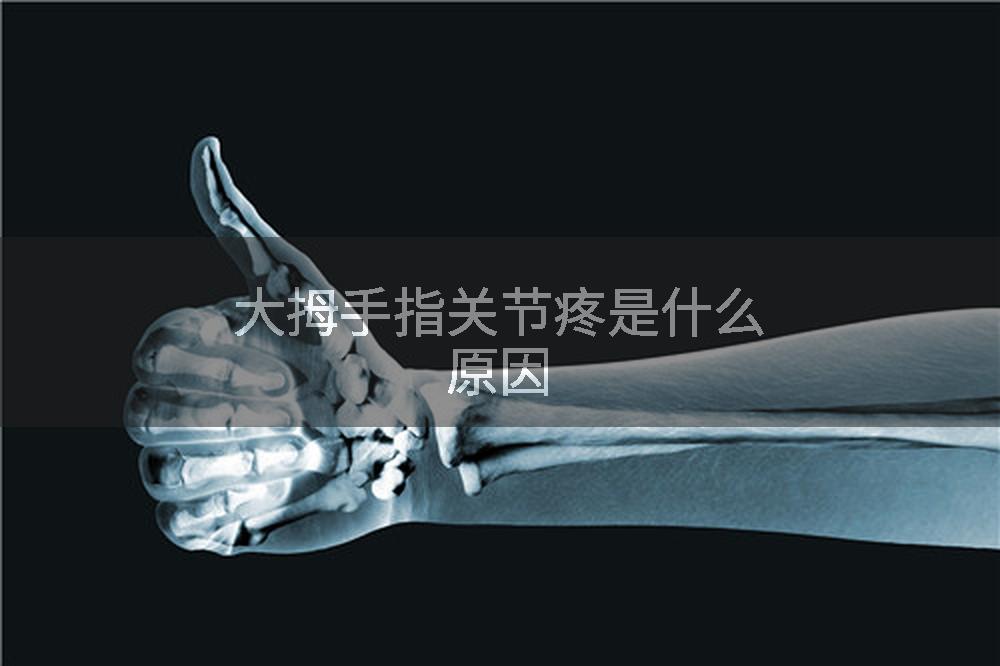 大拇手指关节疼是什么原因