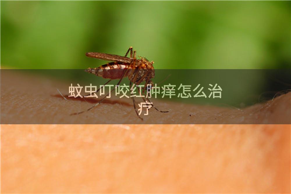 蚊虫叮咬红肿痒怎么治疗