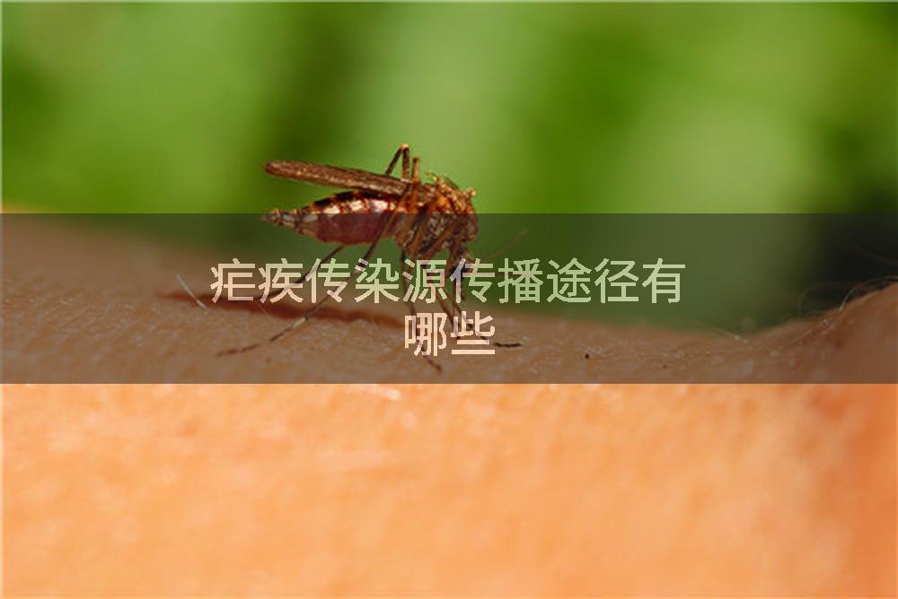 疟疾传染源传播途径有哪些